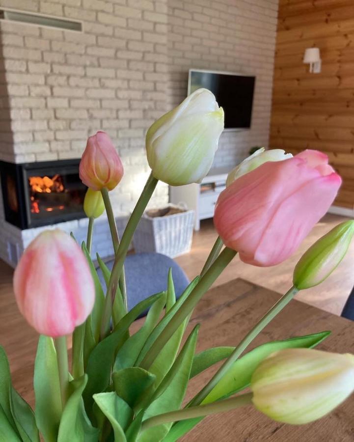 Domek Nalesie Dudowizna Exteriör bild